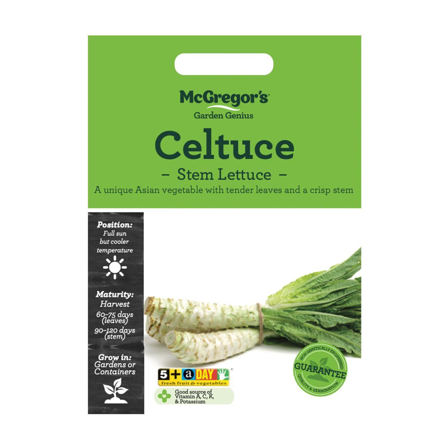 Celtuce​ Stem Lettuce Vegetable Seed