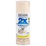 Satin Spray Paint & Primer