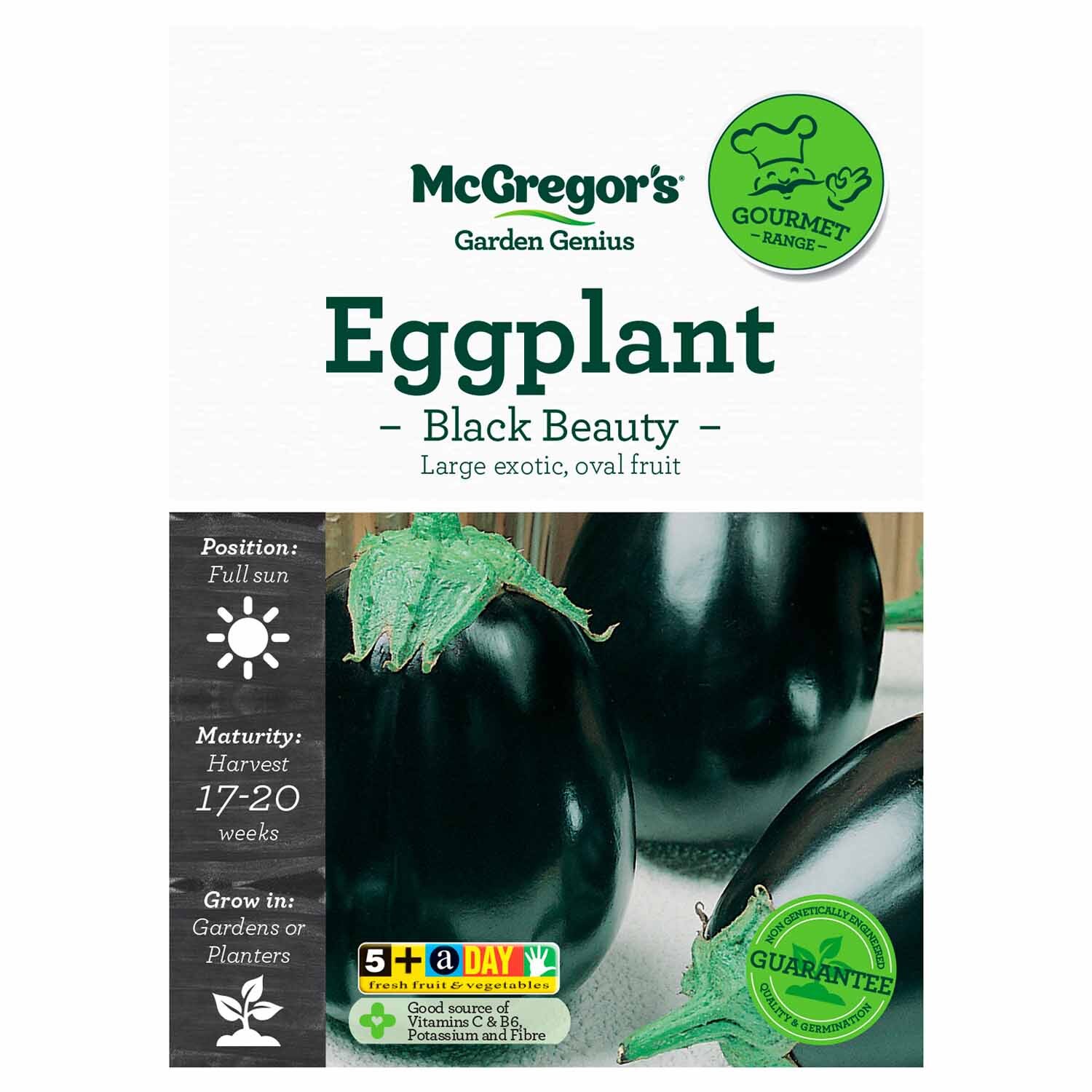 Black Beauty Egg Plant  Gourmet Seed