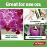 Orchid Fertiliser