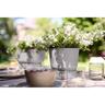 Plastic Pot with Saucer Grey 25cm