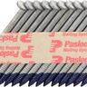 Collated Nails Value Pack with Fuel Cells