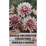 Dahlia Decorative Rebecca's World 1 Pack