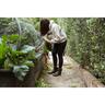Gumboot Low Lady/Youth 4