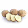 Rocket Seed Potatoes