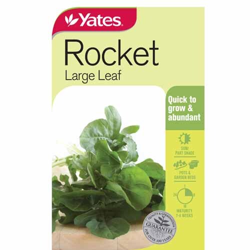 Rocket Large Leaf