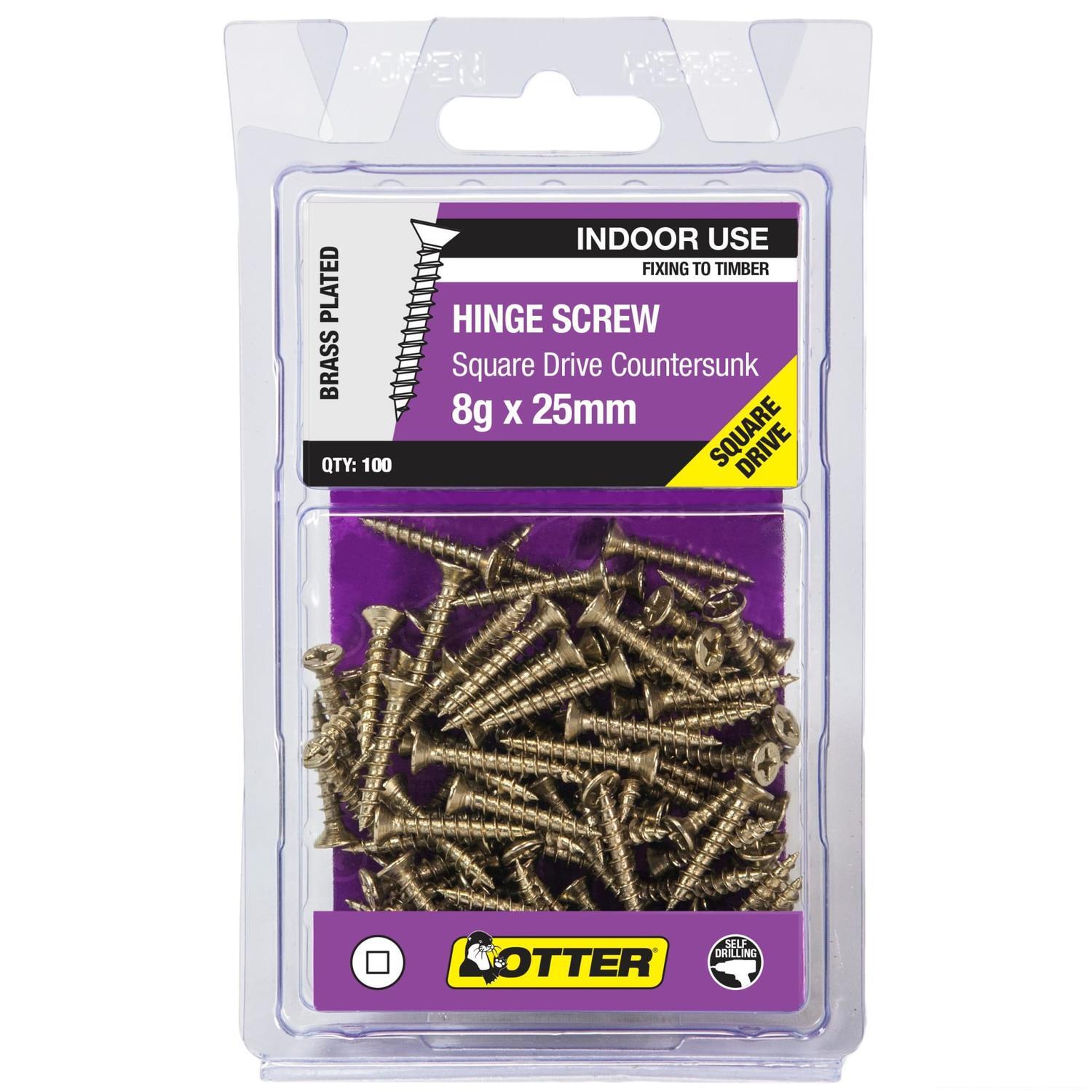 Hinge Screws