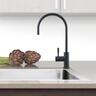 Gooseneck Water Filter Tap  Black