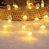 Assorted Fruit String lights 2.4m Warm White
