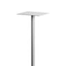 Letterbox Pole