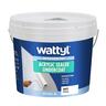 Acrylic Sealer Undercoat