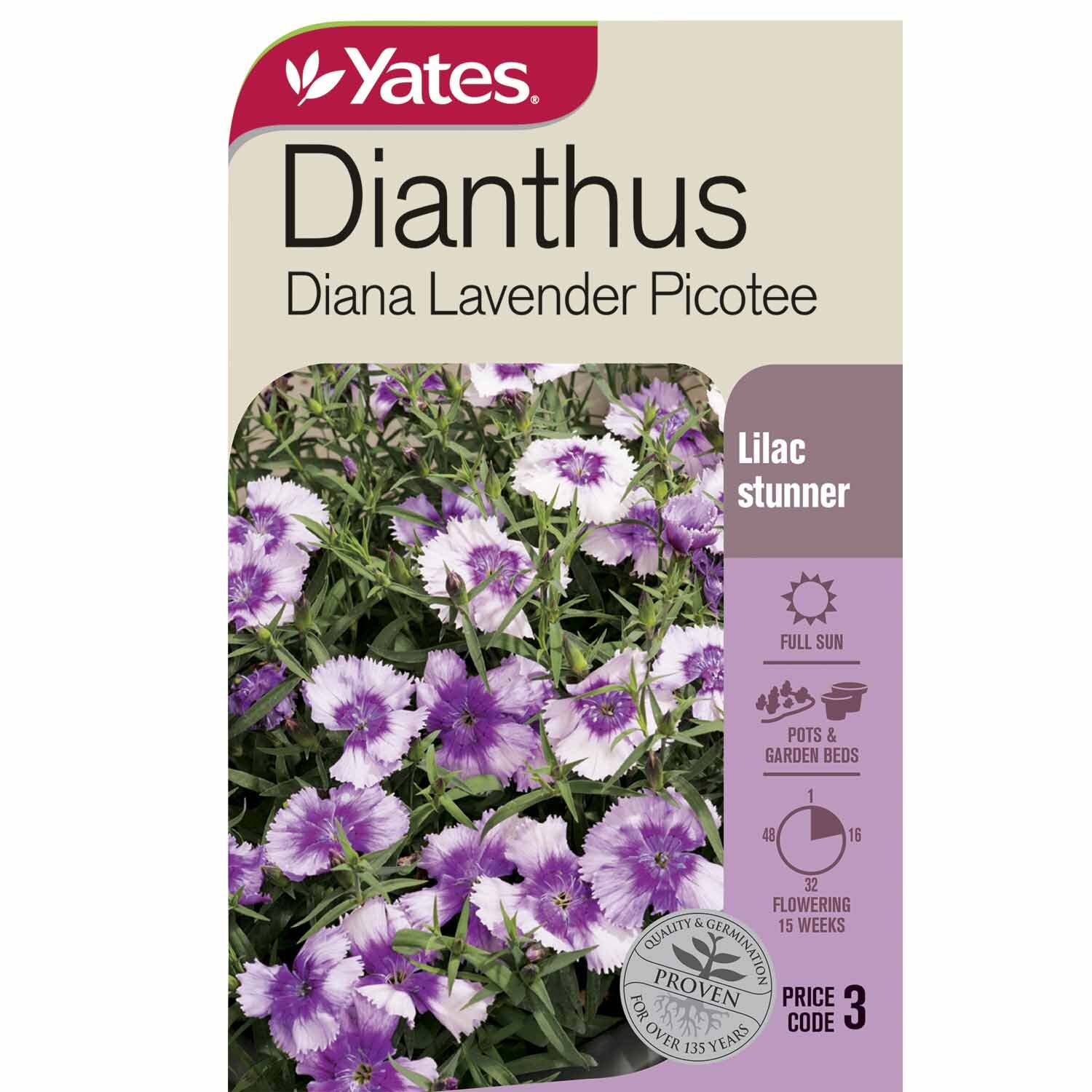 Dianthus Diana Picotee