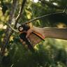 X-series Bypass Pruner P961