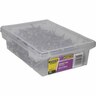 Bracket Nails 40 x 3.75mm 2kg Galvanised