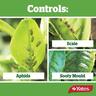 Conqueror Organic Spraying Oil