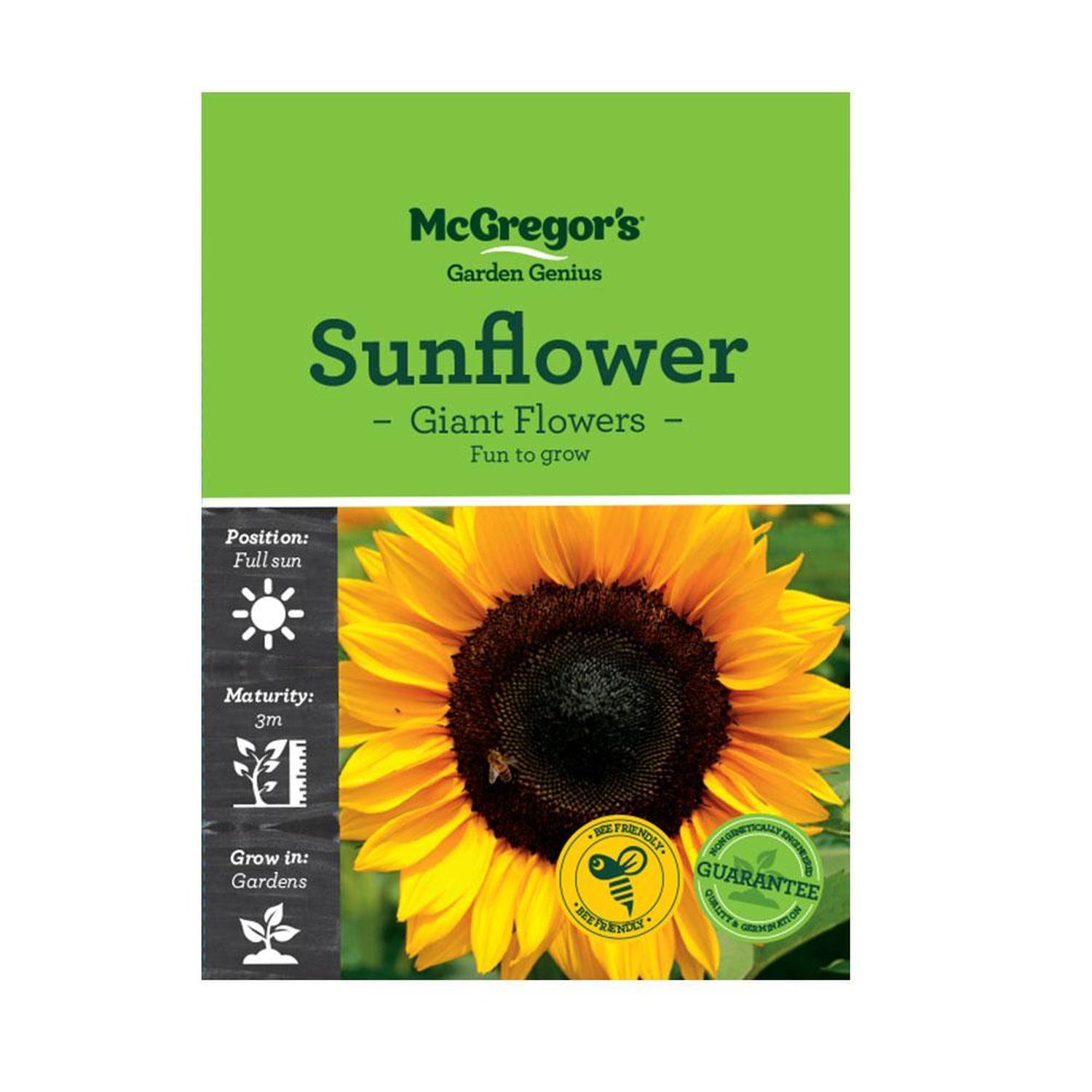 Giant Sunflower  Flower Seed