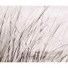 Splashback Sand Dunes H: 750mm, W: 900mm