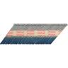 Collated Nails Value Pack with Fuel Cells