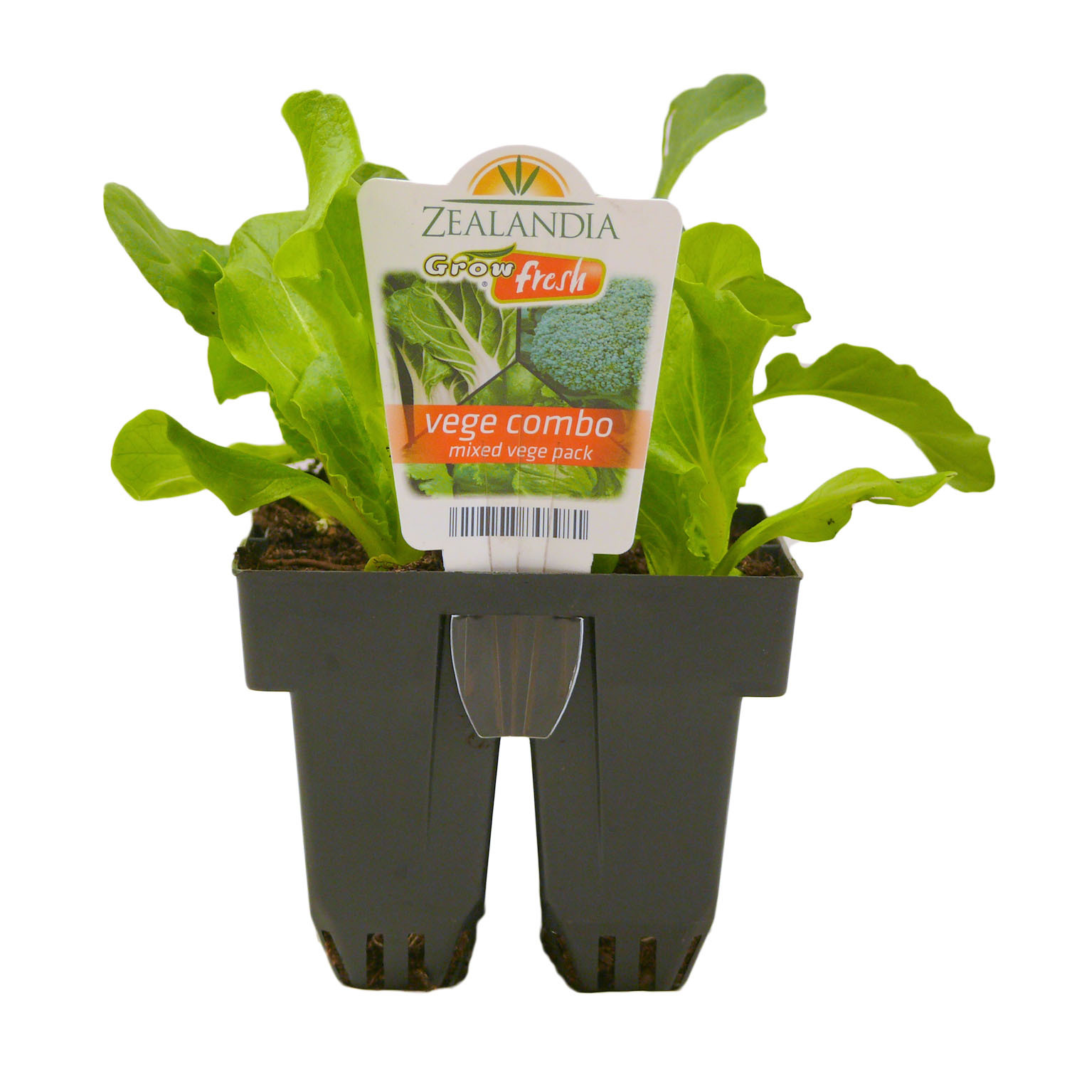 Mixed Vege Combo Pack