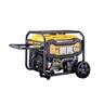 Portable Generator 8.9 kVA