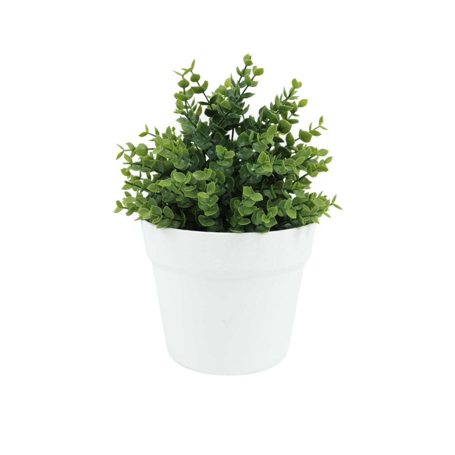 Artificial Eucalyptus Plant in Pot 16cm
