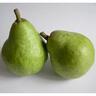 Pear Williams Bon Chretien
