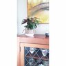 Julie Indoor Ceramic Pot