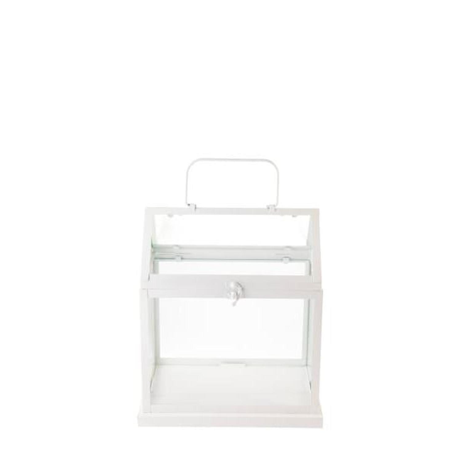 TERRARIUM GLASS GREENHOUSE METAL