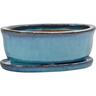 Glazed Bonsai Oval Pot Medium Firework Green Small Light Blue