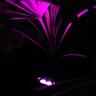 Architectural Twin Spotlight Colour Changing