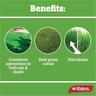 Lawn Seed Sun & Shade 1kg