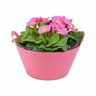 Flowering Primrose Bowls