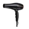 2000W Hair Dryer
