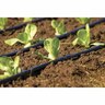 Irrigation Tube