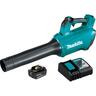 Cordless Blower Kit 18 Volt, 5Ah 187km/h