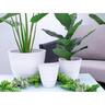 Indoor Vase Pot