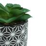 Artificial Succulent Plant in Pot