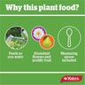 Flower & Fruit