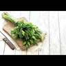Herb Parsley Italian