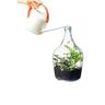 TERRARIUM GLASS BOTTLE