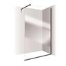 Frameless Walk In Panels