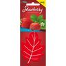 Air Freshener H: 190mm, D: 3mm, W: 75mm
