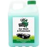 Car Wash & Protectant