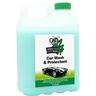 Car Wash & Protectant