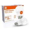 LED Light Bulb Classic