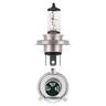 Globe 24 Volt 75/70 Watt