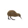 Kiwi Bird Garden Ornament