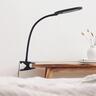 Bryce Clamp Lamp