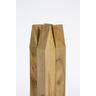 Builders Peg UT 50x25x600mm