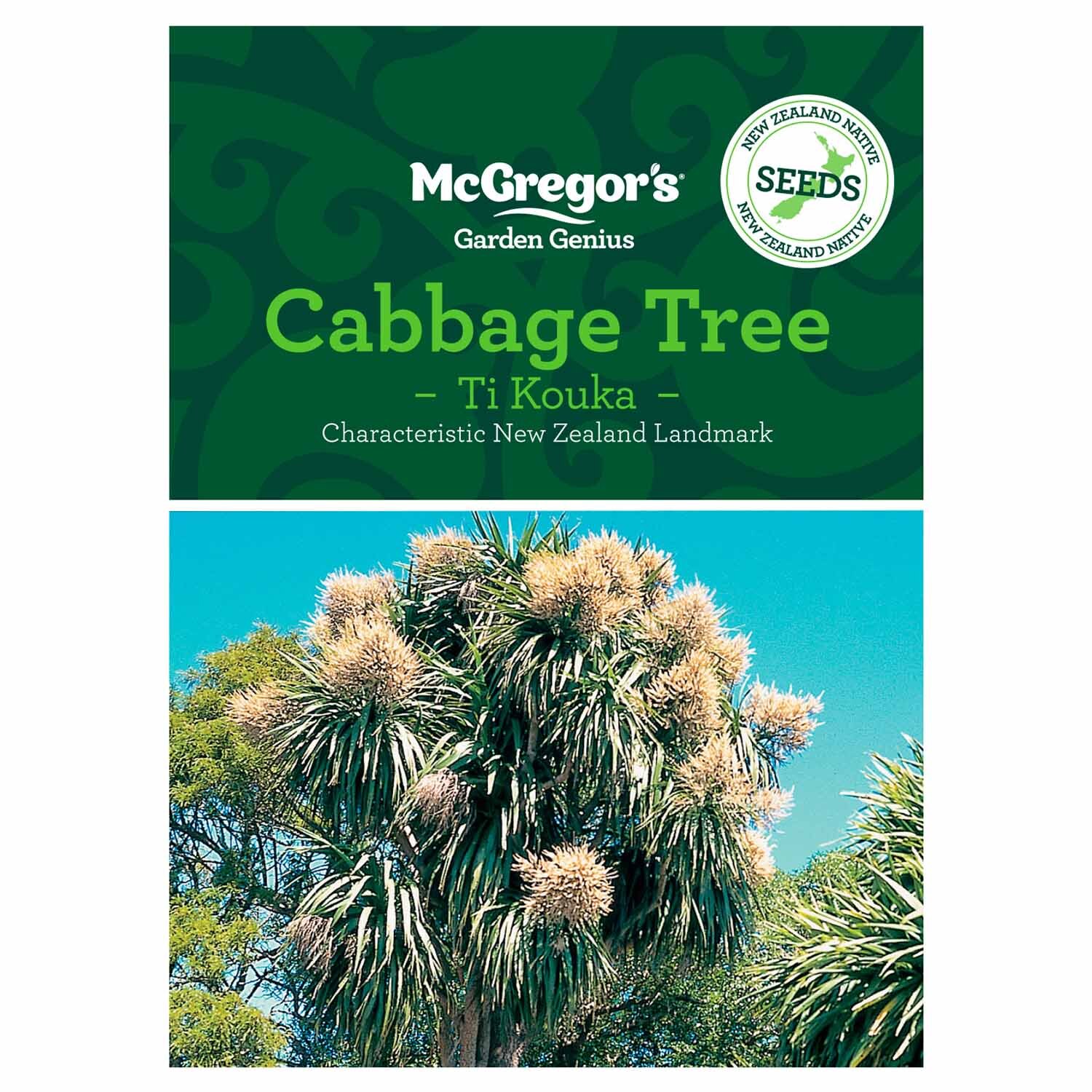 Cabbage Tree  NZ Native Seed